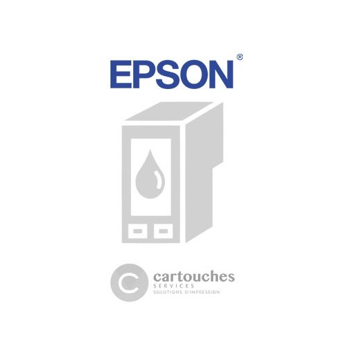 EPSON ENCRE C PP-100 PJIC1 3K
